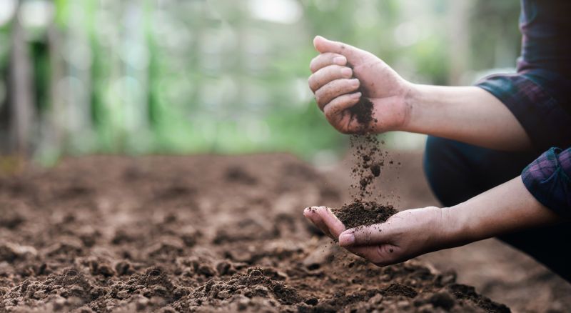 Topsoil Spreading